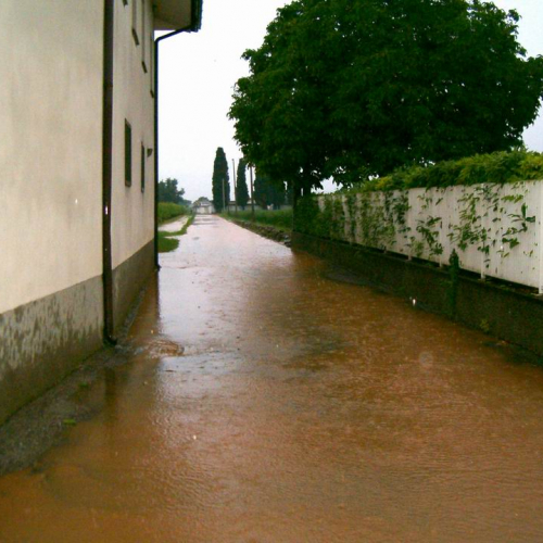 Ipplis - Premariacco 18 / 25357