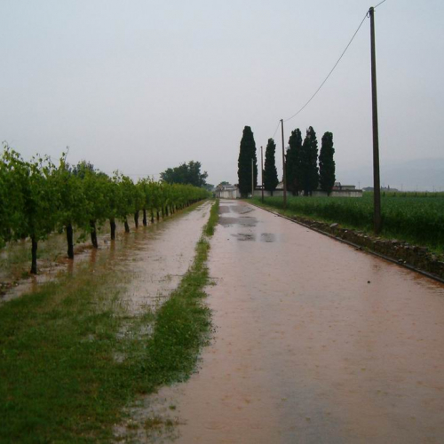 Ipplis - Premariacco 19 / 25358