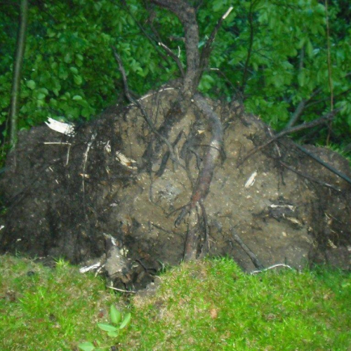 Interventi maltempo 23/07 n. 7 / 54684