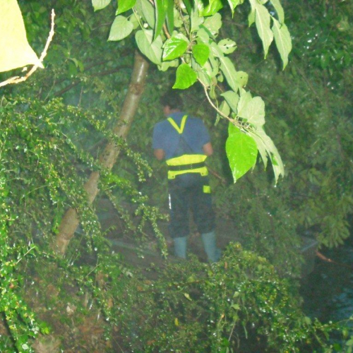 Interventi maltempo 23/07 n. 10 / 54687