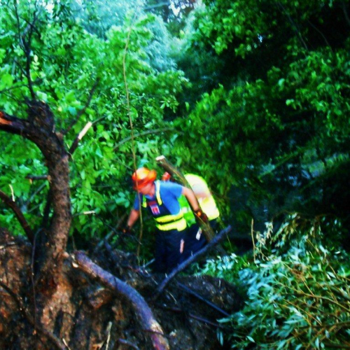 Interventi maltempo 23/07 n. 11 / 54688