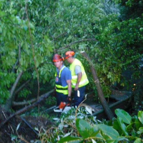 Interventi maltempo 23/07 n. 13 / 54690