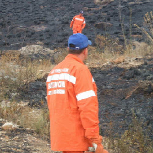 foto 11-31/08 n. 4 / 16312