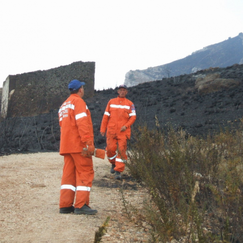 foto 11-31/08 n. 5 / 16313