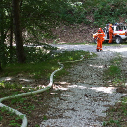 Esercitazione AIB 25/07/10 n. 7 / 54661