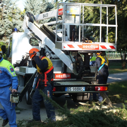 Taglio alberi n. 7 / 88325