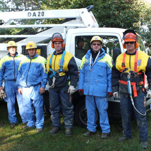 Taglio alberi n. 12 / 88330