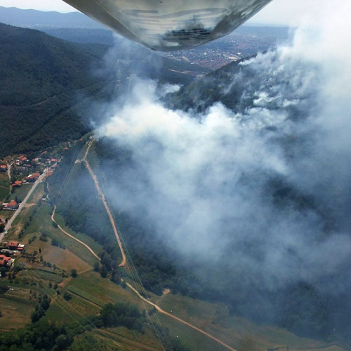 foto aeree incendio boschivo n. 6 / 85267