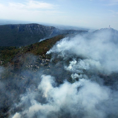 foto aeree incendio boschivo n. 11 / 85272