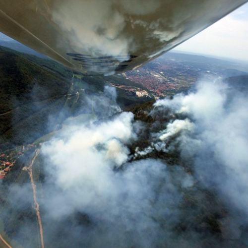 foto aeree incendio boschivo n. 12 / 85273