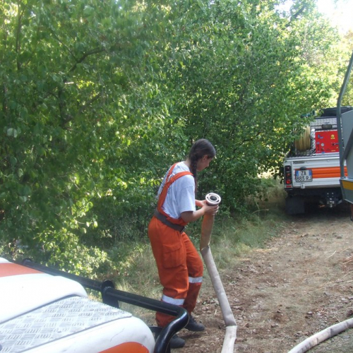 Incendio boschivo Trieste n. 30 / 84808