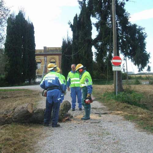 Bassa 2008 a Torviscosa n. 20 / 30481