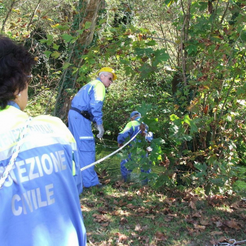 Attivit‡ addestrativa 03/10 n. 13 / 43459