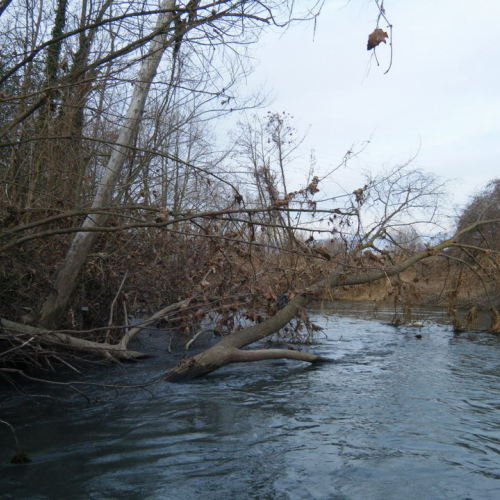Monitoraggio del fiume Fiume n. 8 / 60595