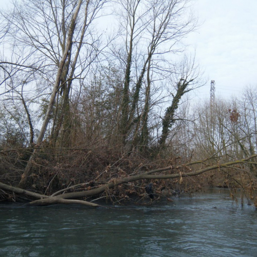 Monitoraggio del fiume Fiume n. 9 / 60596
