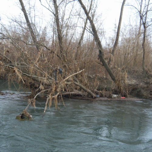 Monitoraggio del fiume Fiume n. 11 / 60598