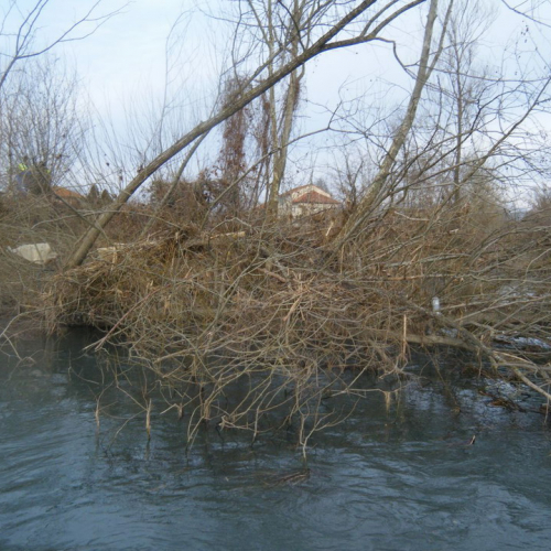 Monitoraggio del fiume Fiume n. 12 / 60599