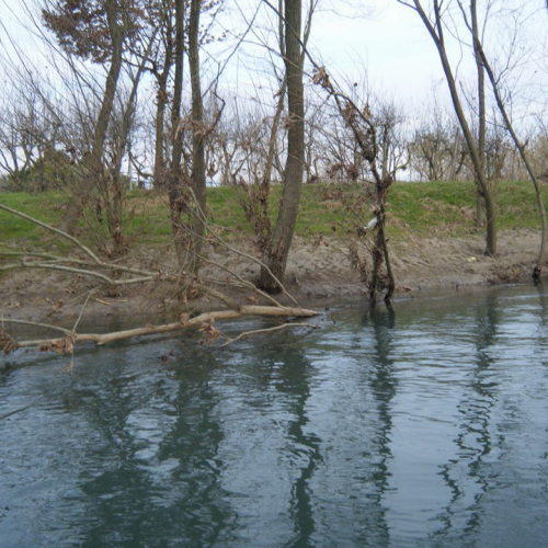 Monitoraggio del fiume Fiume n. 14 / 60601