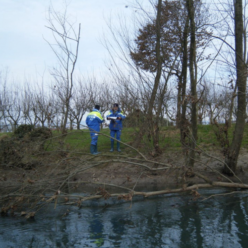 Monitoraggio del fiume Fiume n. 16 / 60603