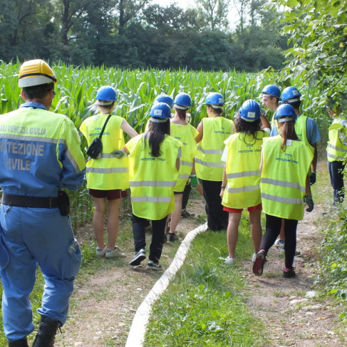 Attivit‡ Aree di Emergenza 2013" n. 86""ttivit‡ "Aree di Emergenza 20""tivit‡ "Aree di Emer""ivit‡ "Aree ""vit‡ " / 97908
