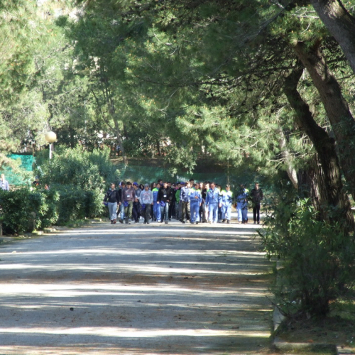 Campi scuole 25/03 n. 13 / 106031