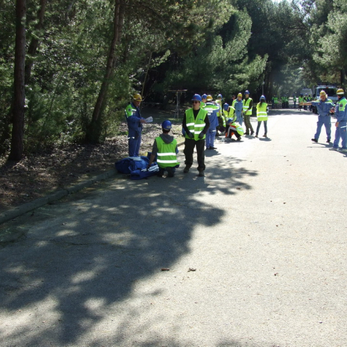Campi scuole 25/03 n. 22 / 106040