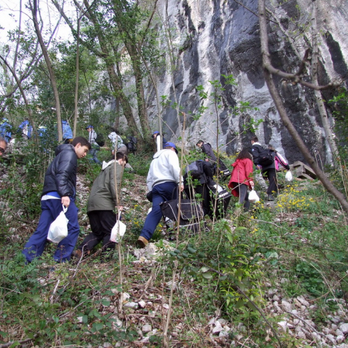 Campi scuole 26/03 n. 6 / 106148