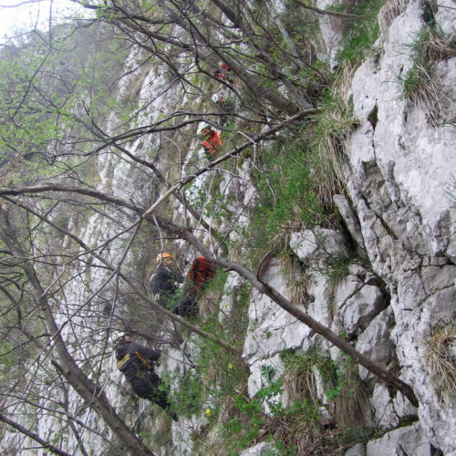 Campi scuole 26/03 n. 17 / 106159