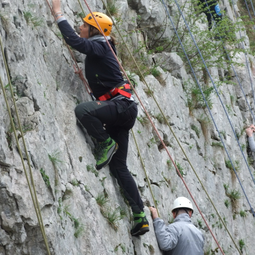 Campi scuole 26/03 n. 42 / 106184