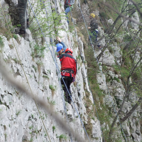 Campi scuole 26/03 n. 47 / 106189