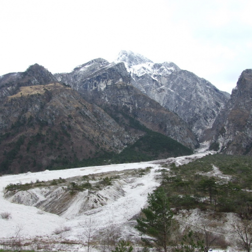 Campi scuole 26/03 n. 69 / 106211