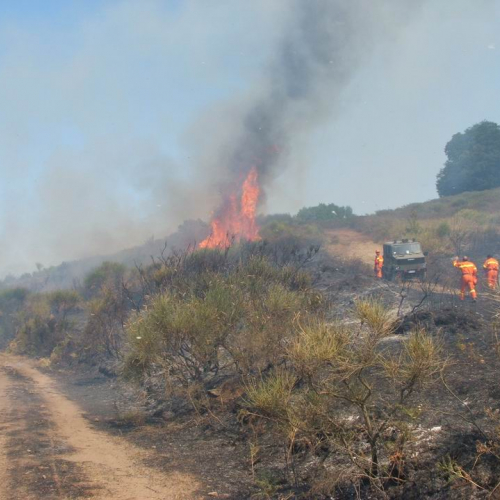 Quarto turno Sicilia 2008 24 / 28078