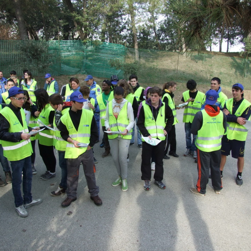 Campi scuole 27/03 n. 8 / 106494