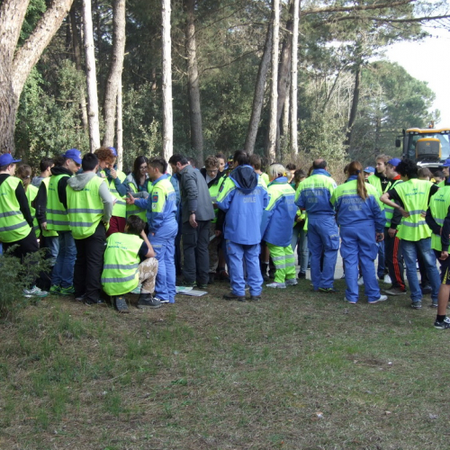 Campi scuole 27/03 n. 10 / 106496