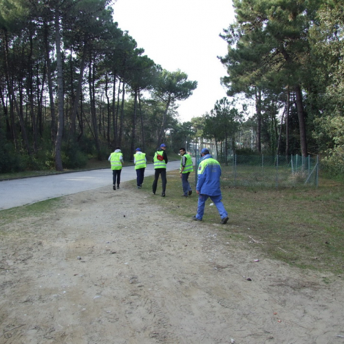 Campi scuole 27/03 n. 11 / 106497