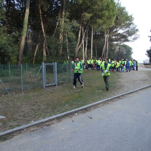 Campi scuole 27/03 n. 16 / 106502