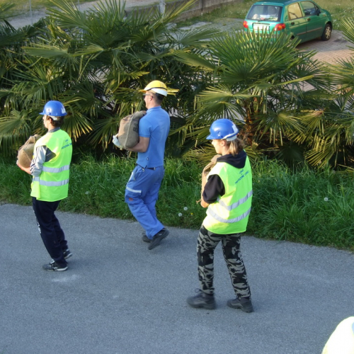 Campi scuole 28/03 n. 76 / 106610