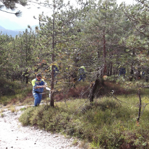 Corso del 22/09/13 n.a- 23 / 100009
