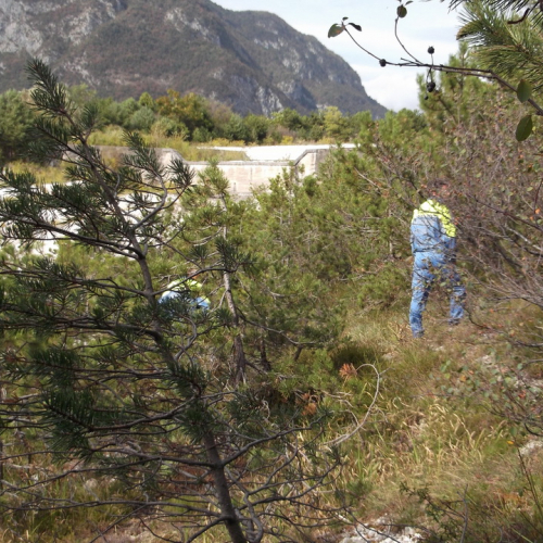 Corso del 22/09/13 n.a- 29 / 100015