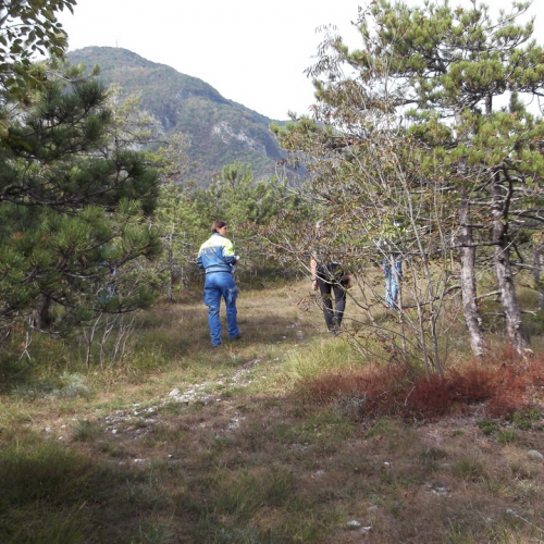 Corso del 22/09/13 n.a- 31 / 100017