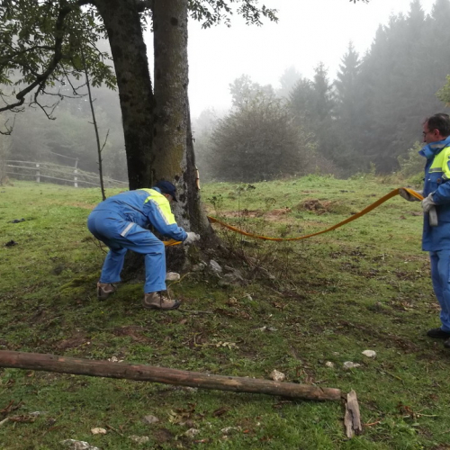 Corso fuoristrada n. 48 / 100710