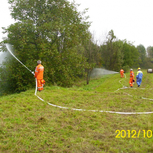 Esercitazione di antincendio a Preone n. 45 / 87005