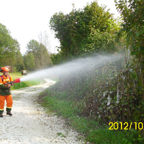 Esercitazione di antincendio a Preone n. 52 / 87012