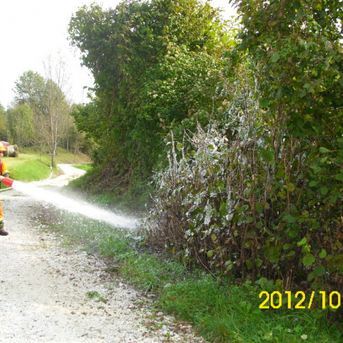 Esercitazione di antincendio a Preone n. 53 / 87013
