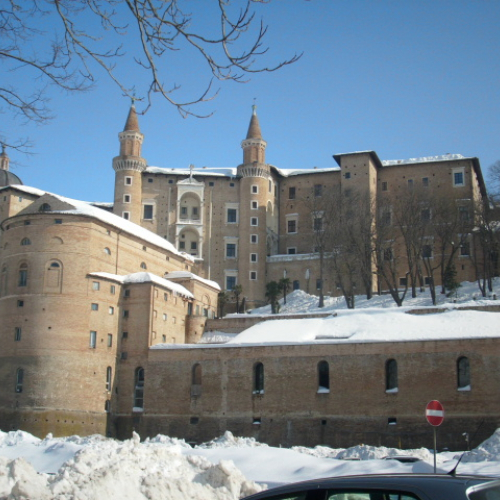 Gallery Urbino n. 42 / 76156