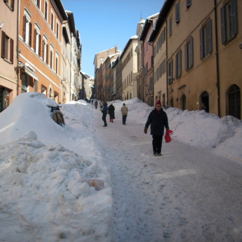Gallery Urbino n. 44 / 76158