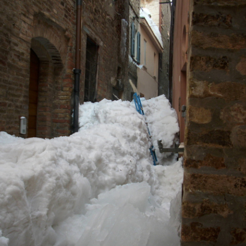 Gallery Urbino n. 48 / 76162