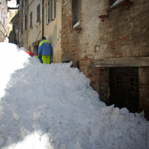 Gallery Urbino n. 55 / 76169