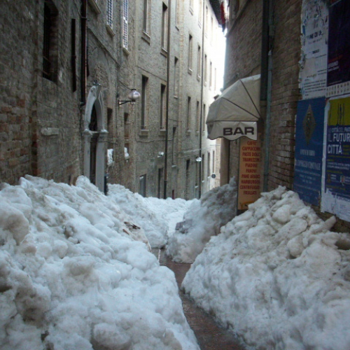 Gallery Urbino n. 65 / 76179