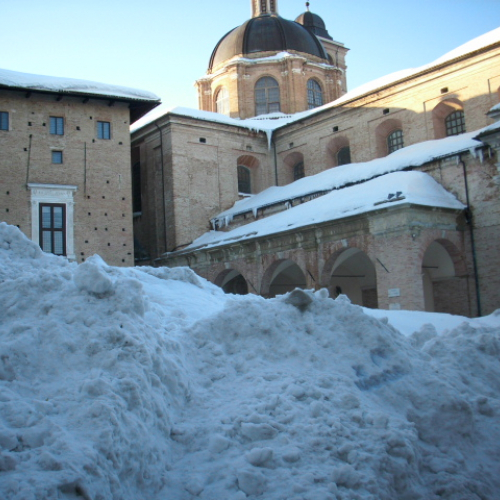 Gallery Urbino n. 67 / 76181